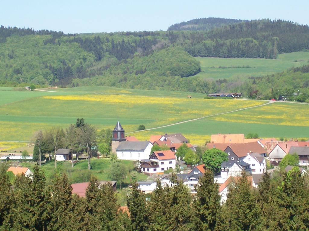 Fewo Wilke Willingen  Exterior foto