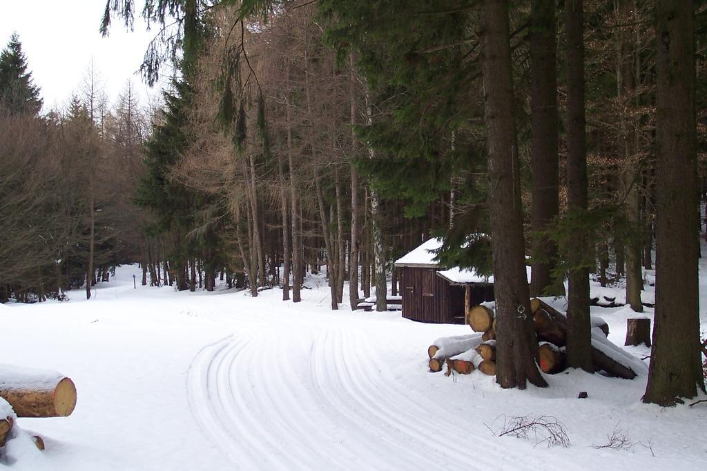 Fewo Wilke Willingen  Exterior foto